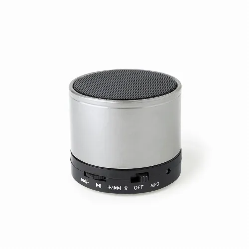 Speaker Martins