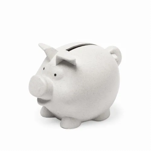 Money Box Darfil