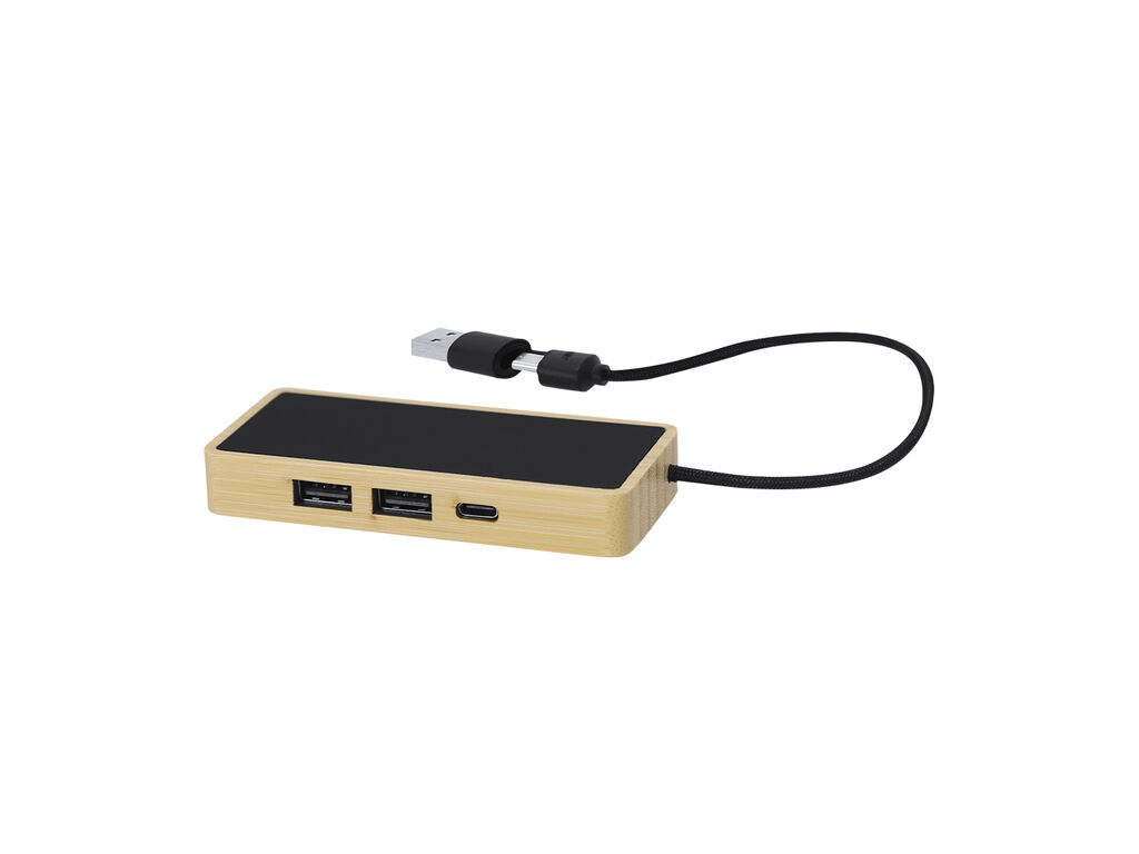 USB Hub Ginger