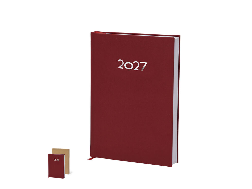 Diary Canek