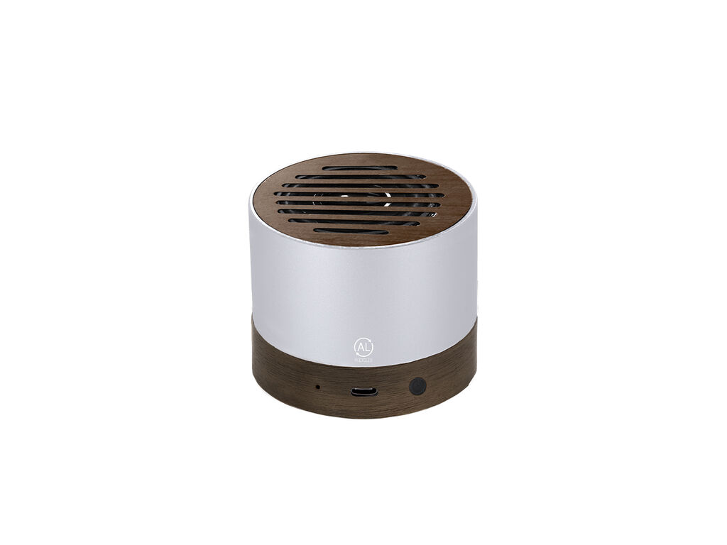 Speaker Kolin