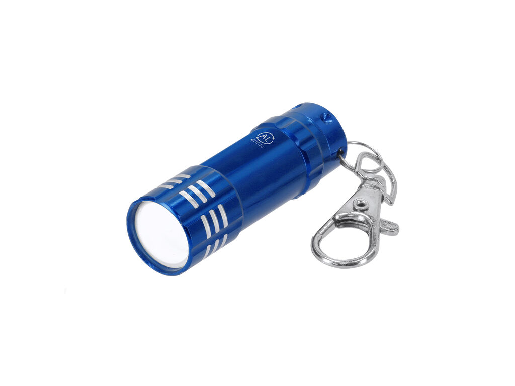 Torch Keyring Musday