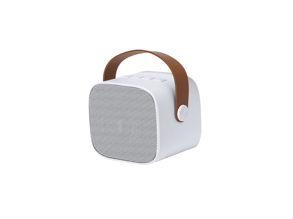 Speaker Matjoy