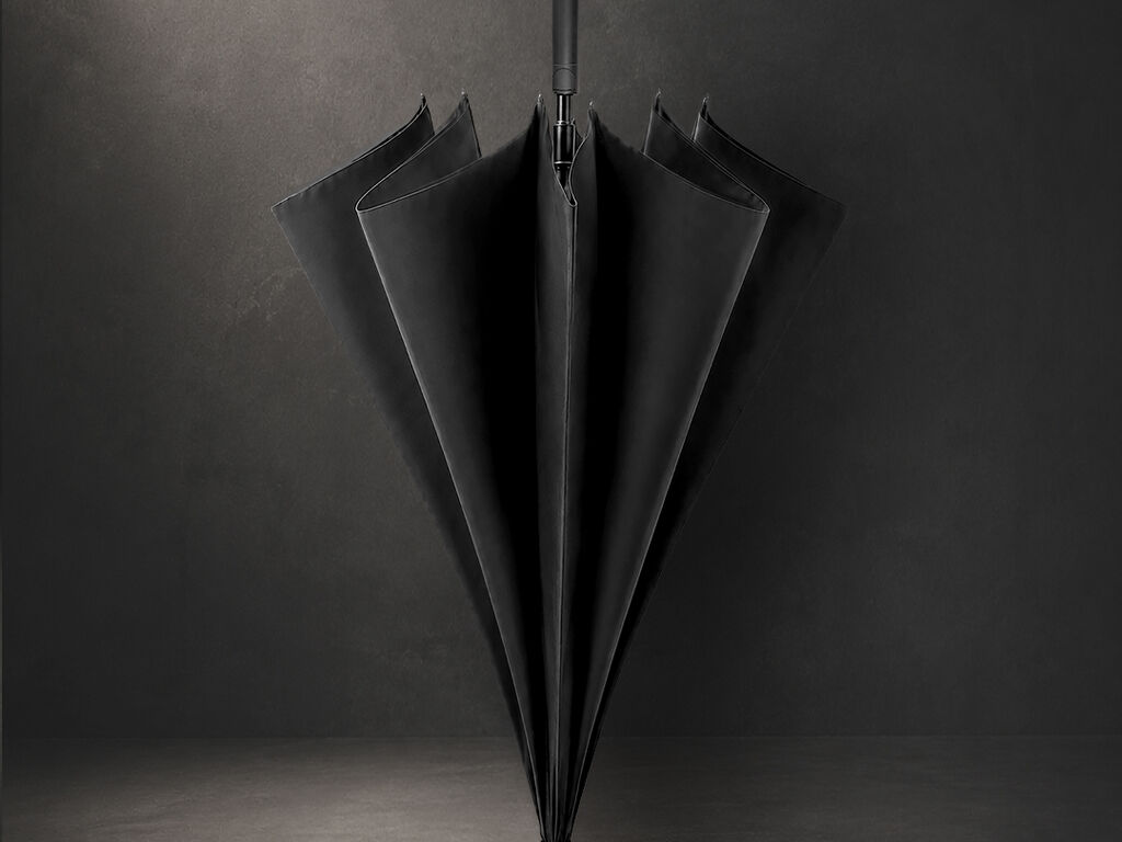 Umbrella Rimea